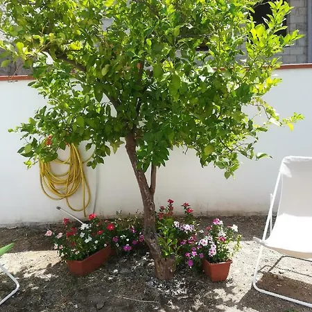 Casa White Sardinia *